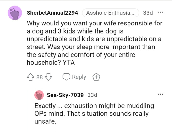 You want your wife to be responsible for a dog and three kids