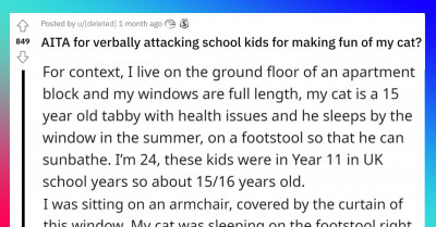 Pet Owner Teaches Mischievous Teenagers A Lesson After They Bullied His Old And Sick Tabby Cat