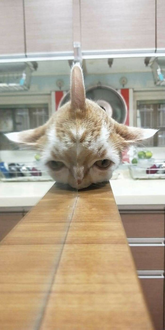 30. What am I seeing?