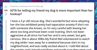 Anxious Dog Bites Its Owner's Friend After She Brought A Stranger Home Despite Knowing The Dog Was Nervous Around New People