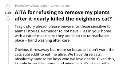 Redditors Stand With Woman Who Refuses To Remove Her Plants Of Sentimental Value Even Though They Nearly Killed Neighbor's Cat