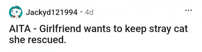 This Redditor's girlfriend intends on keeping a stray cat she rescued