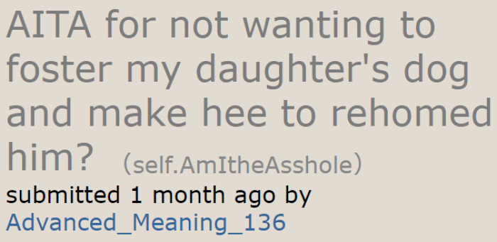 The original poster (OP) wonders if it was wrong to refuse fostering his daughter's dog.