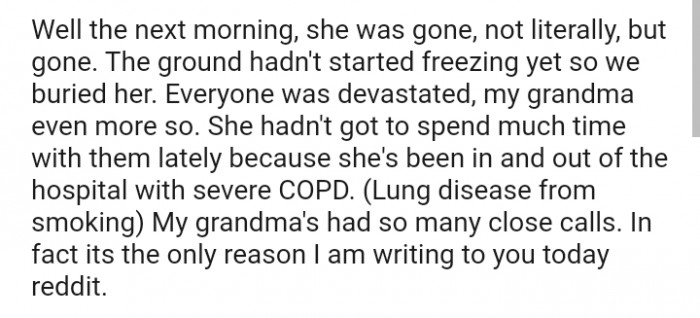 The Ground Hadn't Started Freezing Yet, So We Buried Her