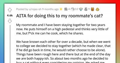 Redditor Steals The Love Of Roommate’s Cat Even Though He Wasn’t Included In The Decision To Buy It
