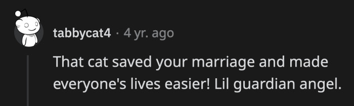 These Cats Better Be Spoiled After All the Improvement They Brought into This Family's Life