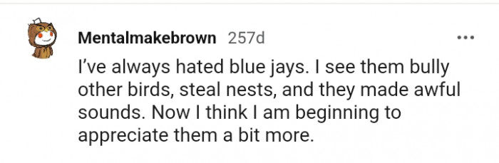 This Redditor is beginning to appreciate them a bit more