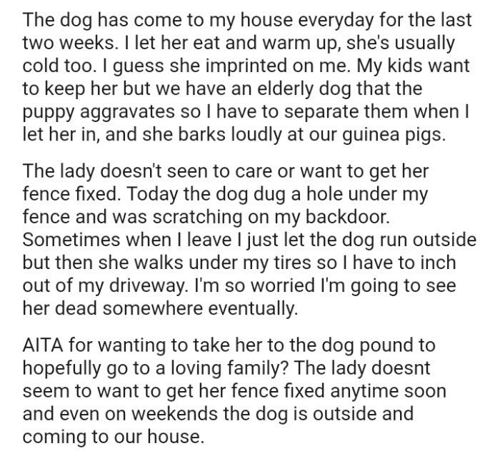 The dog dug a hole under the OP's fence and was scratching at their back door
