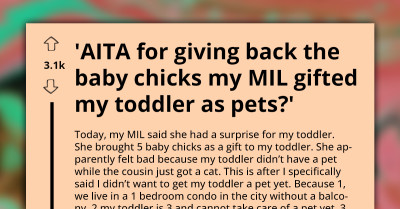 Redditor Refuses To Get A Pet For Their Toddler, Only For MIL To Take Matters Into Her Own Hands With A Surprise Delivery