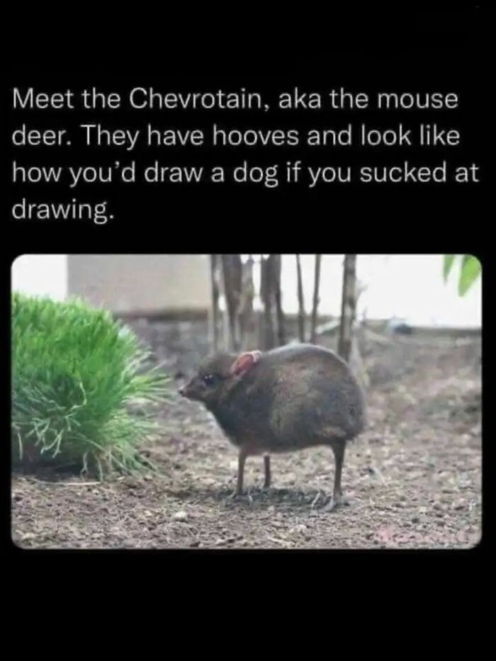 19. If a toddler described a deer and a 3D printer tried its best.