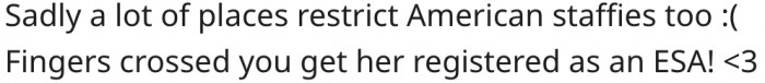 10. It's sad that American staffies are not welcomed everywhere.