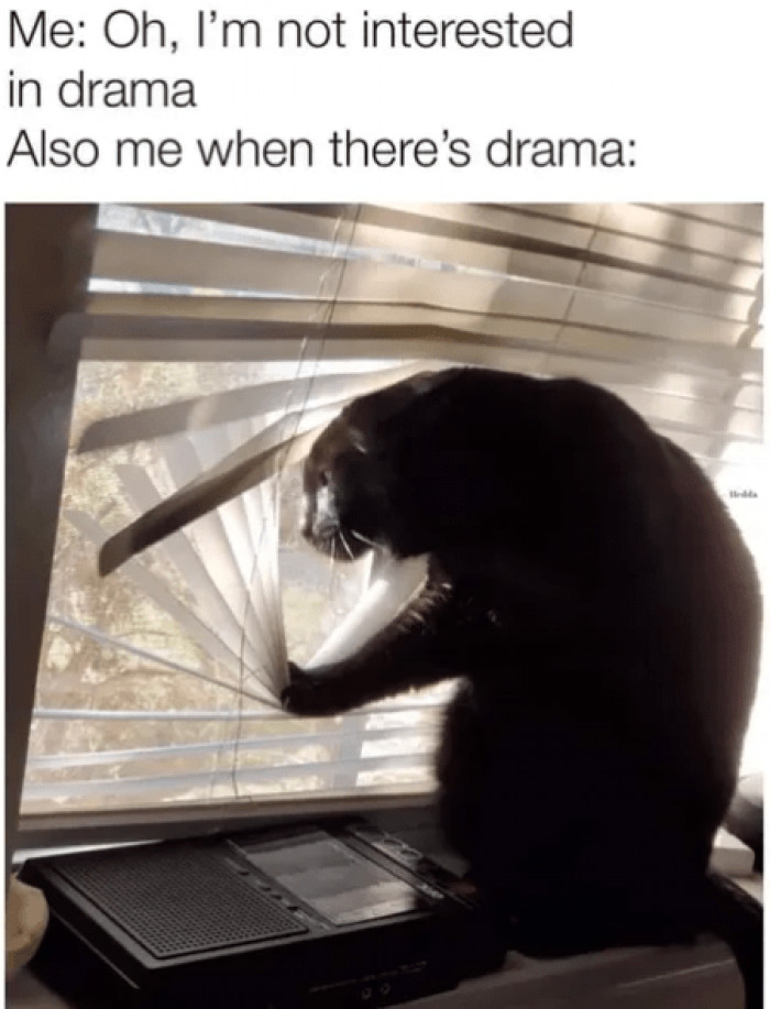 18. Let me get all the juicy details myself