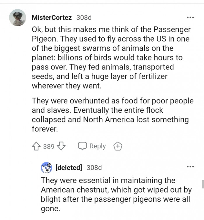 This Redditor is thinking about the passenger pigeon
