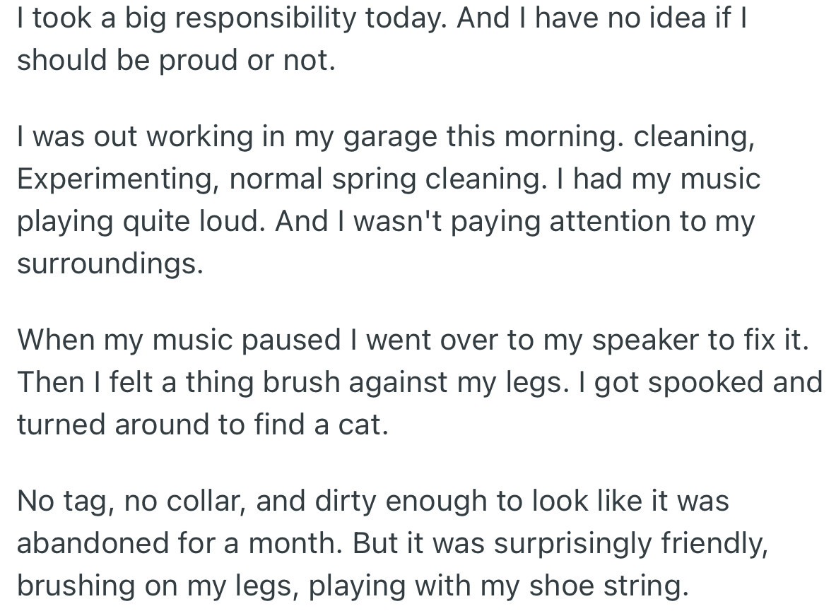 OP was cleaning his garage and had music playing loudly. Suddenly, the music stopped, and as he went over to check it out, he found a surprisingly friendly cat.
