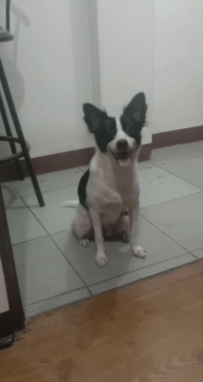 We just wish there were more kindness in the world.