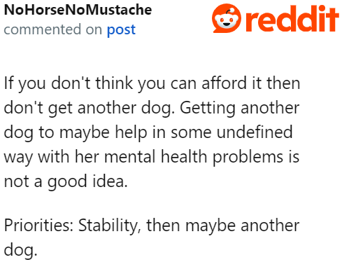They need to prioritize stability before getting another dog.