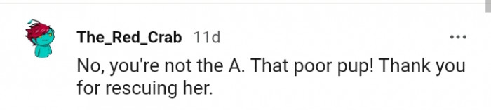 Thank you for rescuing the poor pup