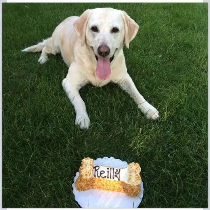 23. But you can't resist spoiling them at all—because look at those eyes!