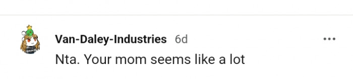 This Redditor believes that the OP's mom seems like a lot