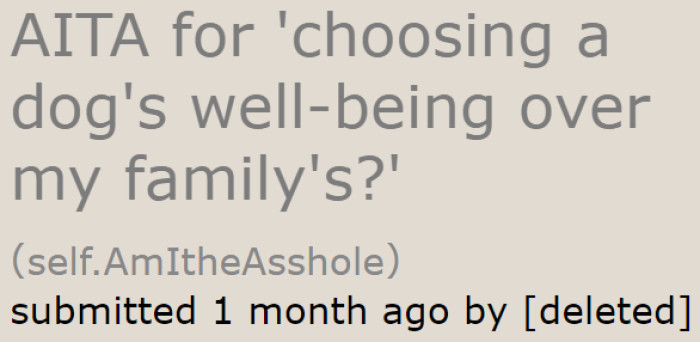 Dog with behavior issues, family members keeping distance due to past trauma