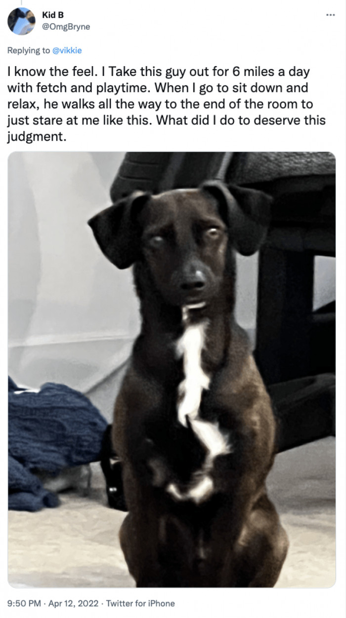 3. What did I do to deserve this judgment?