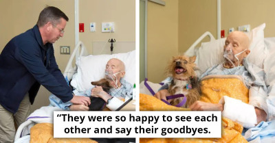 Animal Welfare Fulfills Dying Veteran's Final Wish to See His Dog, Touching Moment Stirs Emotions Everywhere