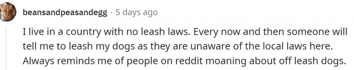 Some counties don't have leash laws