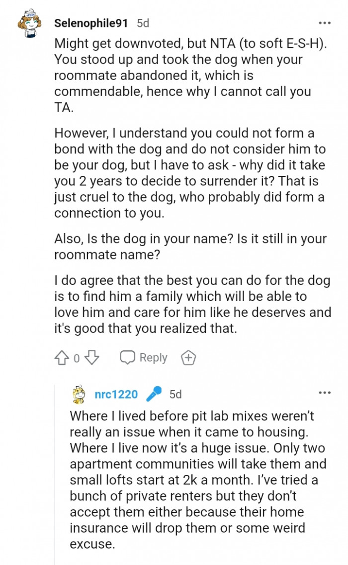 Why did it take you this long to decide to surrender him?