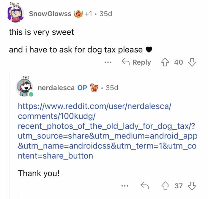 Elderly dog cuddles with owner during a wholesome, accidental mishap moment