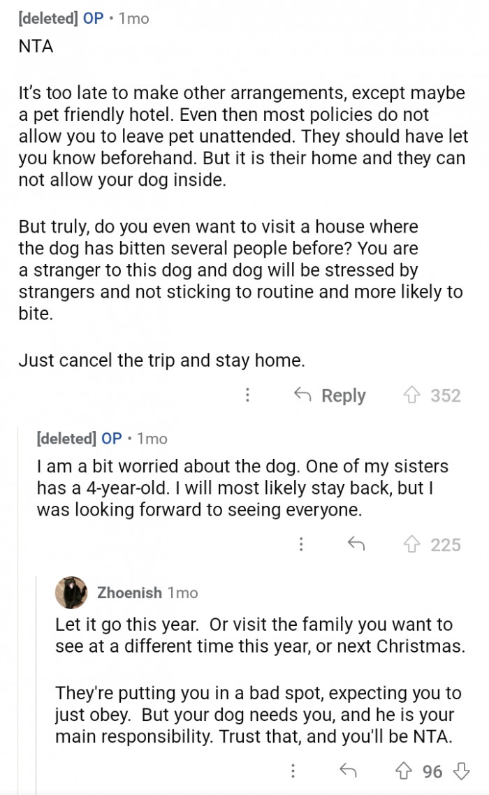 5. Although Christmas is a once-a-year celebration, celebrating with your dog