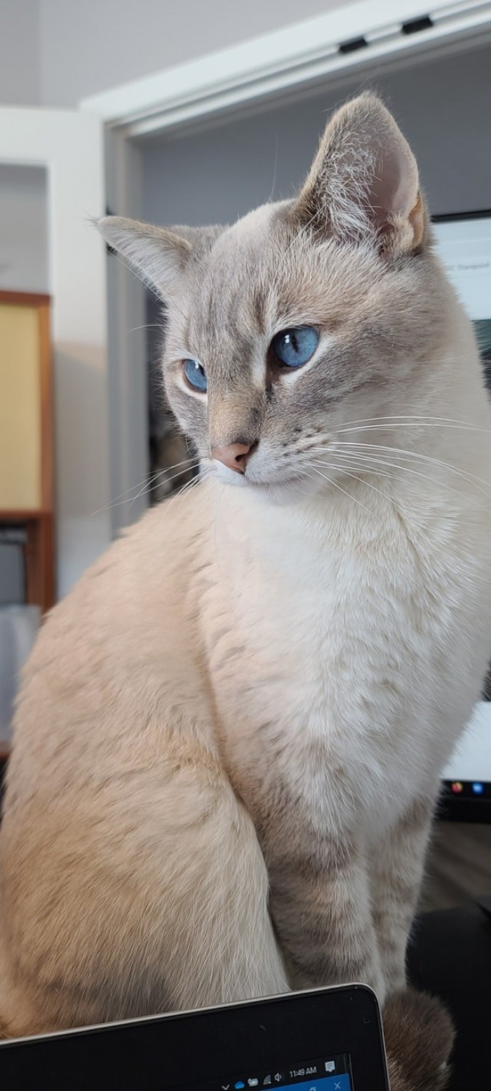 4. Ghost knew that he was what this human needed.