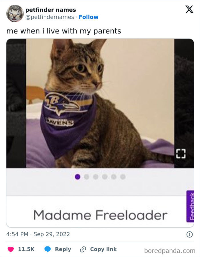 Madame Freeloader