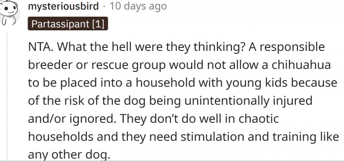 "A responsible breeder or rescue group would not allow a Chihuahua to be placed into a household with young kids."