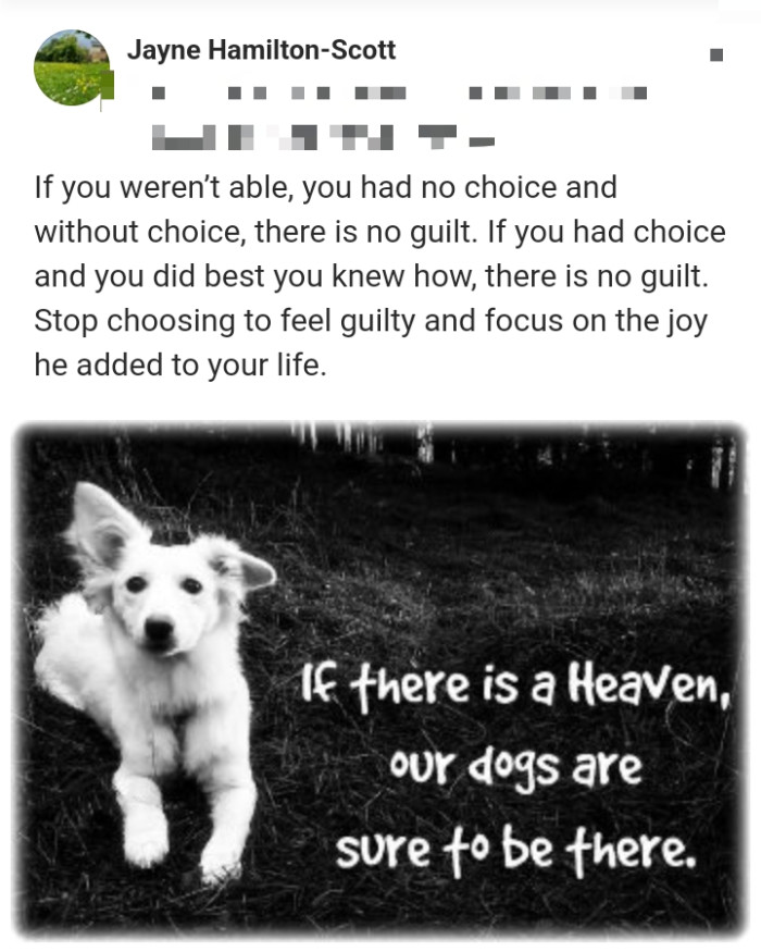 22. There is no guilt