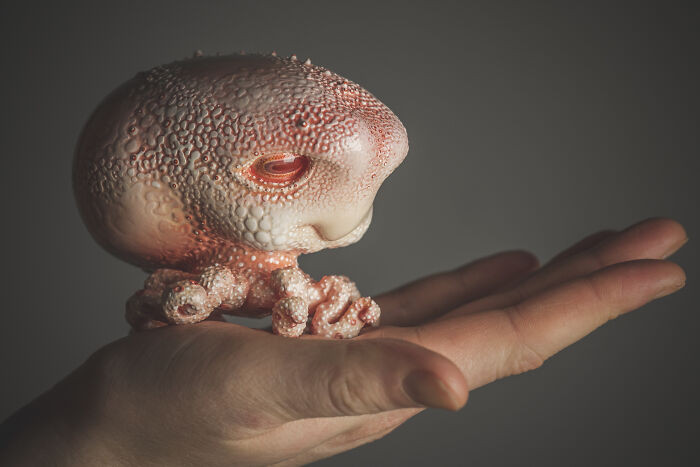 30. Baby Octopus
