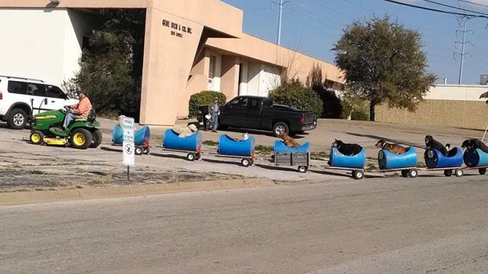 Eugene Pictured Taking His Furry Friends on a Unique Adventure