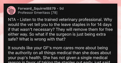 Redditor Refuses to Let His GF Remove His Dog's Staples Early Post-Op Because He Wants Him to Be Fully Healed