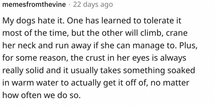 Here's a story about two dogs and their crust take out
