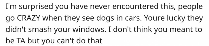 11. She's lucky they didn't smash her windows.