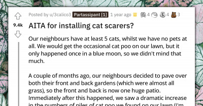 Redditor Installs Cat Scarers to Deter the Neighbor’s Cats from Ruining the Property, Neighbor Reacts