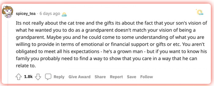 8. Never focus on the cat tree