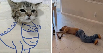 21 Outrageously Cute Cat And Dog Photos Guaranteed To Turn Any Frown Upside Down