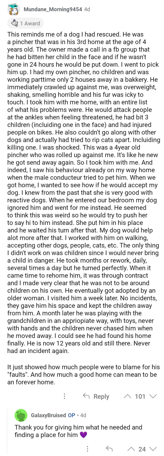 #19 Good thing that this dog found a home that he deserved.