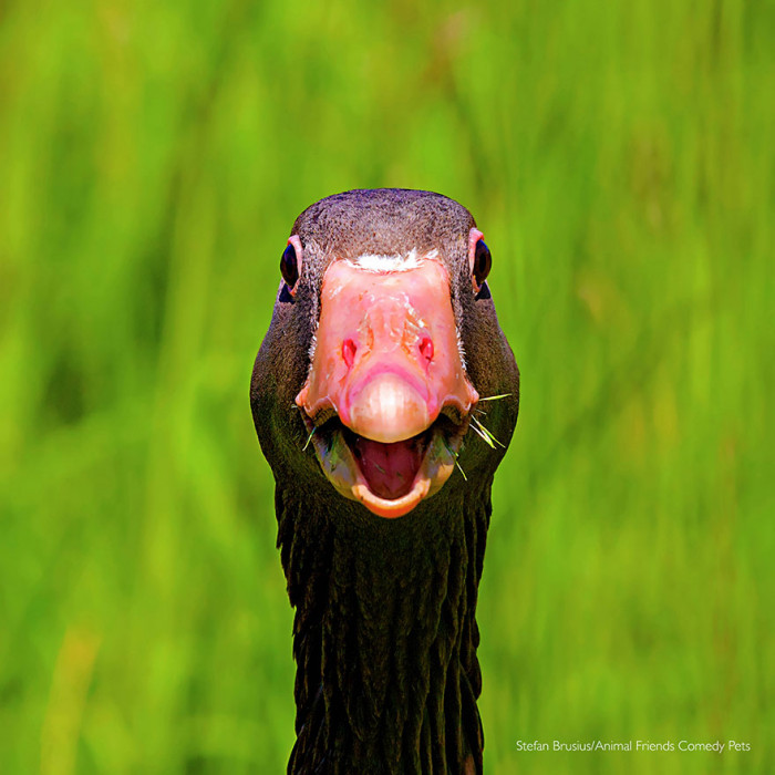 13. "I'm Talking to You" by Stefan Brusius