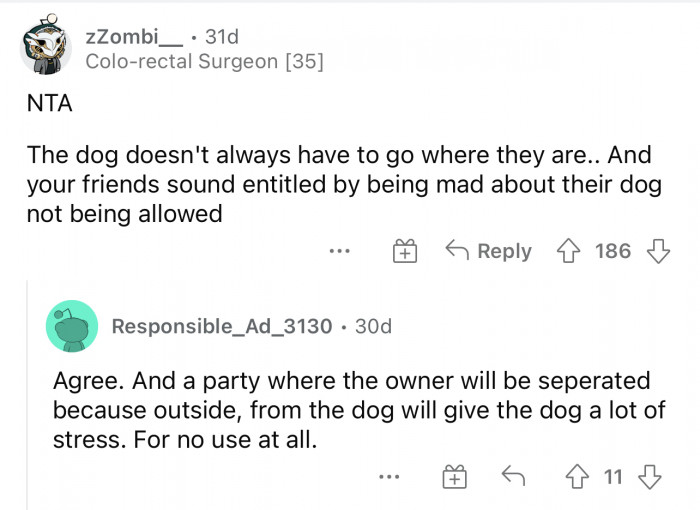 Many reasons why the dog could've just stayed home.