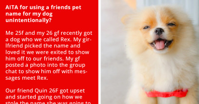 Adults Fighting Over Pet Names Like Toddlers - Redditor Gets Accused Of Stealing A Name For Her Dog