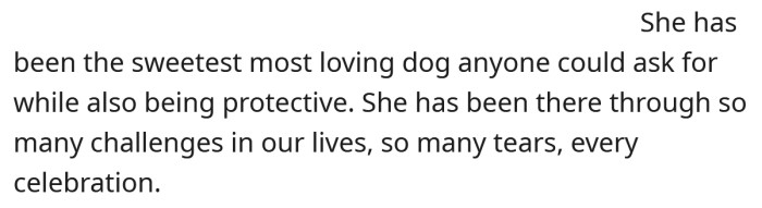 The sweet dog became a beautiful part of the OP's family and has been through a lot with them.