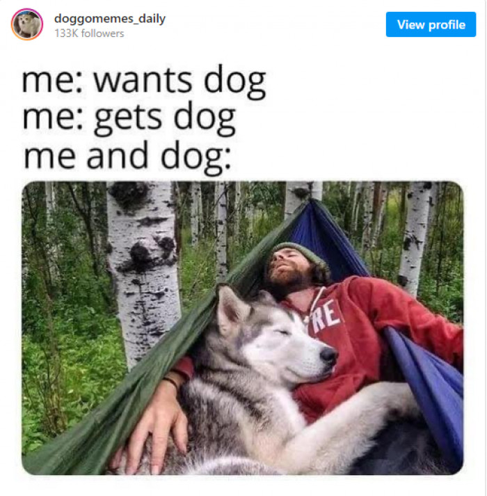 17. Napping with your best friend has got to be one of the best feelings ever