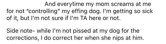 The little dog will run crying to OP's mom, who will then scream at the OP to control their dog.
