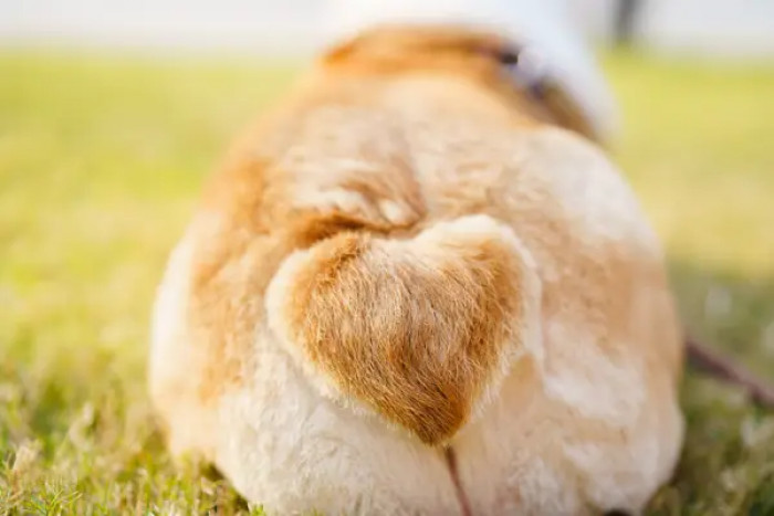 19. It’s one of their best assets.